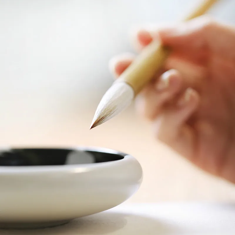 Chinese Painting Writing Brush Set Beginner Medium Regular Script Multiple Hair Calligraphy Handwriting Practice Craft Supply