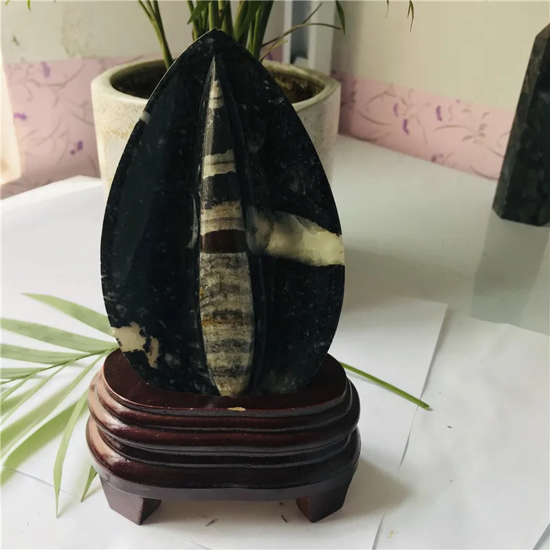 

Natural crystal fossil right Angle fossil specimen collection