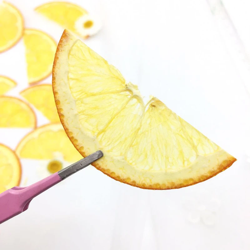 

5pcs Dried Pressed Half Orange Slices Fruit Plant Herbarium For Jewelry Photo Frame Phone Case Bookmark Postcard Making DIY