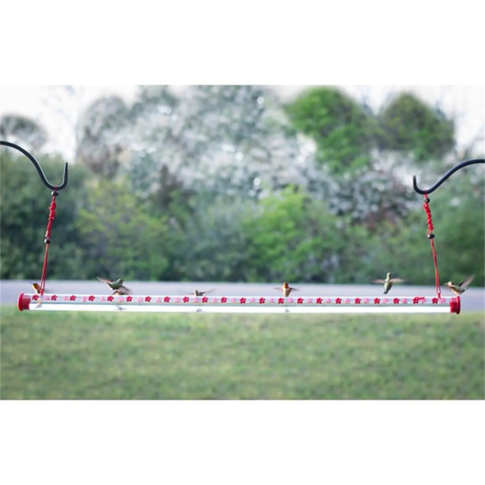 

Bird feeder Best Hummingbird Feeder with Hole Birds Feeding Transparent Pipe Easy to Use