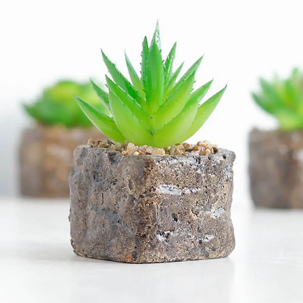 

12 Styles Mini Artificial Succulent Plants Decorative Cactus Cacti Plants Faux Potted Plants Miniatures Home Decor (Random)