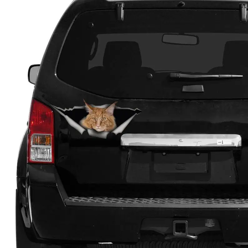 

2021 Red Maine Coon car decal, funny sticker, Red Maine Coon car sticker, maine coon magnet