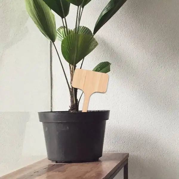 

50Pcs Bamboo Plant Labels , Eco-Friendly T-Type Wooden Plant Sign Tags Garden Markers for Seed Potted Herbs Flowers Vegetables (