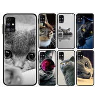 british shorthair cat for samsung note 20 10 9 8 ultra lite plus pro f62 m62 m60 m40 m31s m21 m20 m10s soft phone case