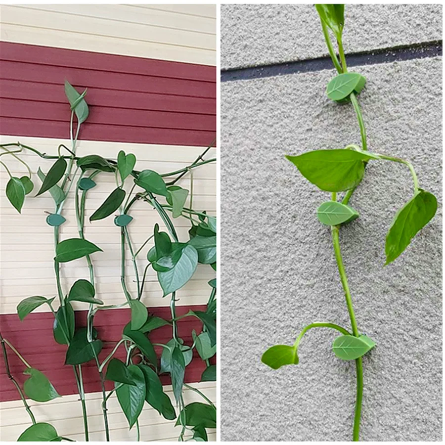 10pcs Plant Climbing Wall Fixture Invisible Leaf Shape Rattan Vine Clip Fastener Traction Holder Flower Hanger Glued Hook - купить по