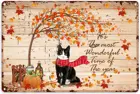 Жестяная вывеска в виде тыквы, металлические знаки, черно-белая кошка, самое замечательное время года, украшение, винтажный металлический постер