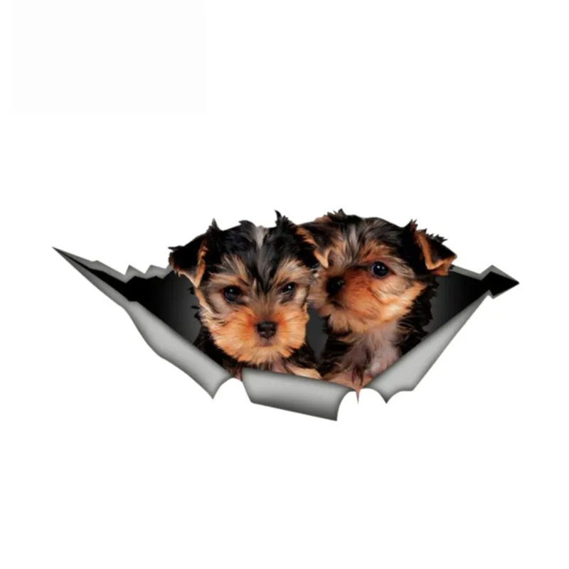 

Dawasaru Yorkshire Terrier Car Decal 3D Pet Graphic Vinyl Decal Car Window Laptop Bumper Bird Car Stickers,13cm*5cm