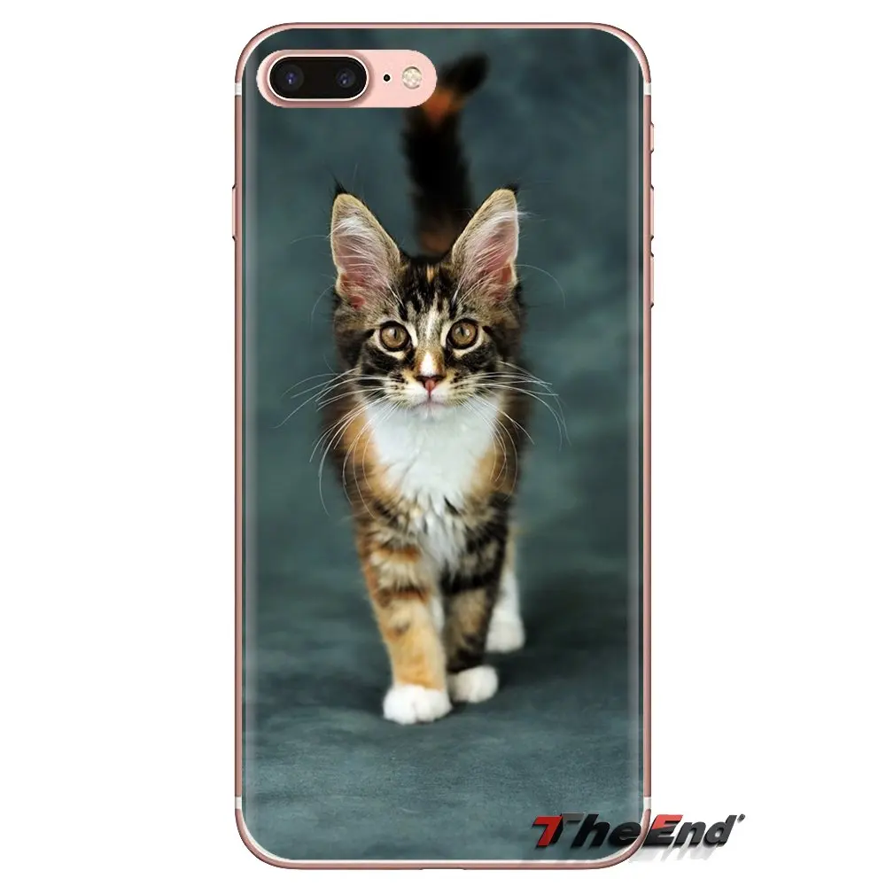 Soft Transparent Cases Covers For Xiaomi Redmi 4 3 3S Pro Mi3 Mi4 Mi4i Mi4C Mi5 Mi5S Mi Max Note 2 pet maine coon cat silver |