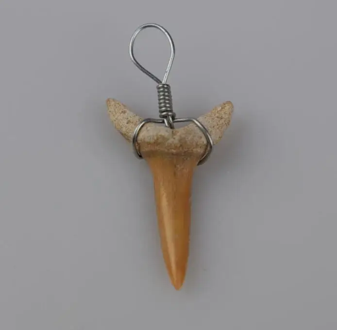 Горячая Распродажа A + кулон с натуральным акульим зубом энергетический apotropaic 1 г-3