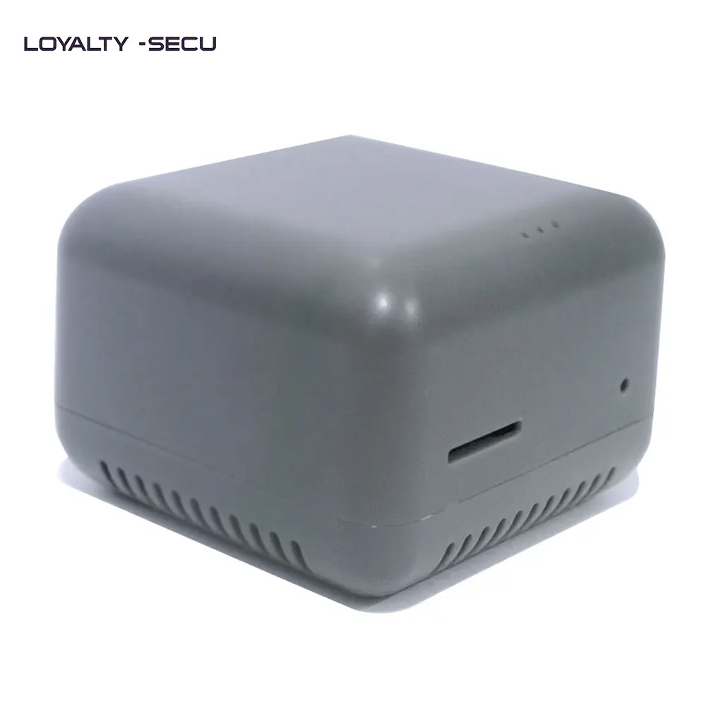 LOYALTY-SECU Сетевой адаптер для принтера сервера USB терминальная печать Windows 10 серый |