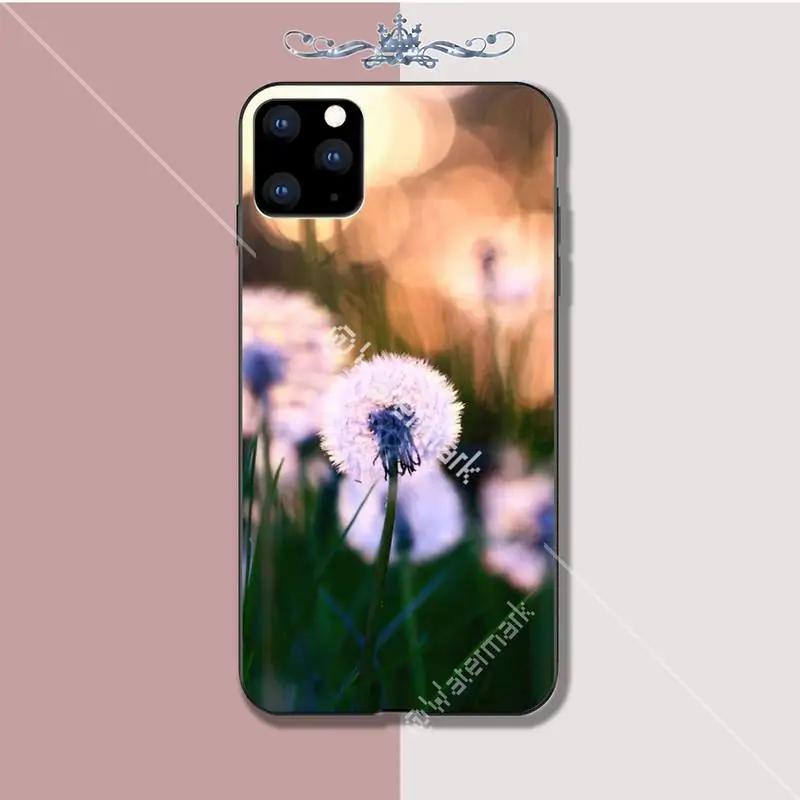 Plant Flower Dandelion Luxury Phone Case Funda For Iphone 5s Se 6 6s 7 8 Plus X Xs Max Xr 11 Pro Cases Coque | Мобильные телефоны и