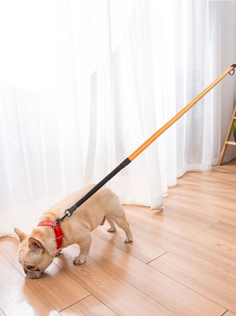 

Small Medium Large Dog Chain Collar Adjustable Retractable Personalized Leash Chihuahua Dog Collars Dogs Pet Products II50GQY