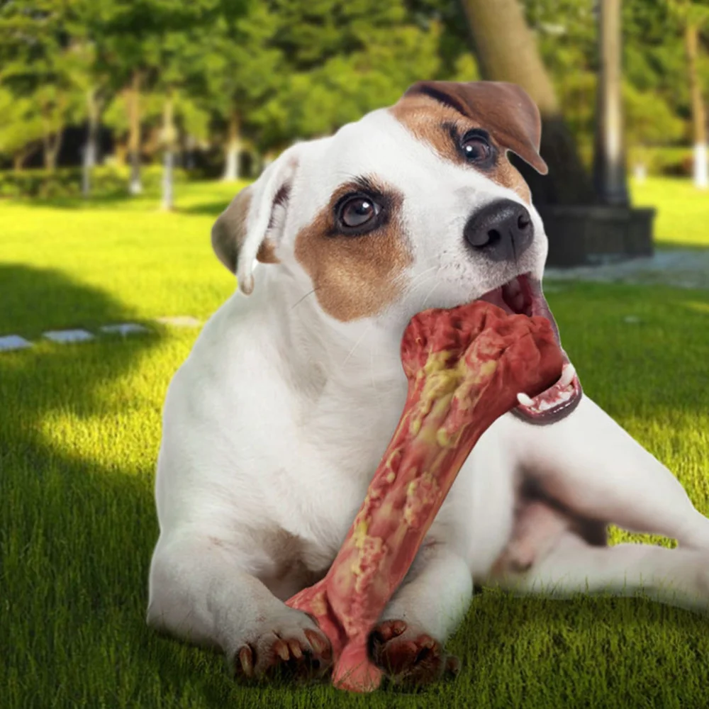 

Dog for Aggressive Chewers Pet Chew Rubber Bone Squeaky Molar Supply