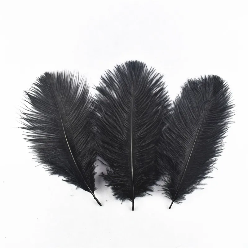 20pcs/Lot Dyed Black Feathers Rooster Goose for Jewelry Making Ostrich Pheasant Crafts Carnaval Assesoires | Дом и сад