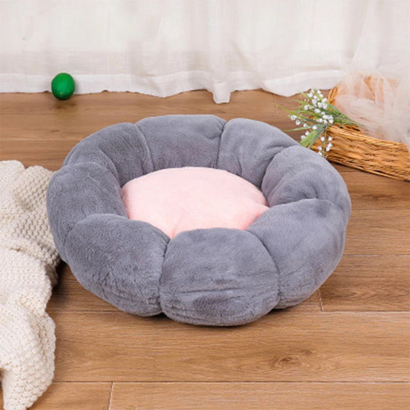 

Pet Products