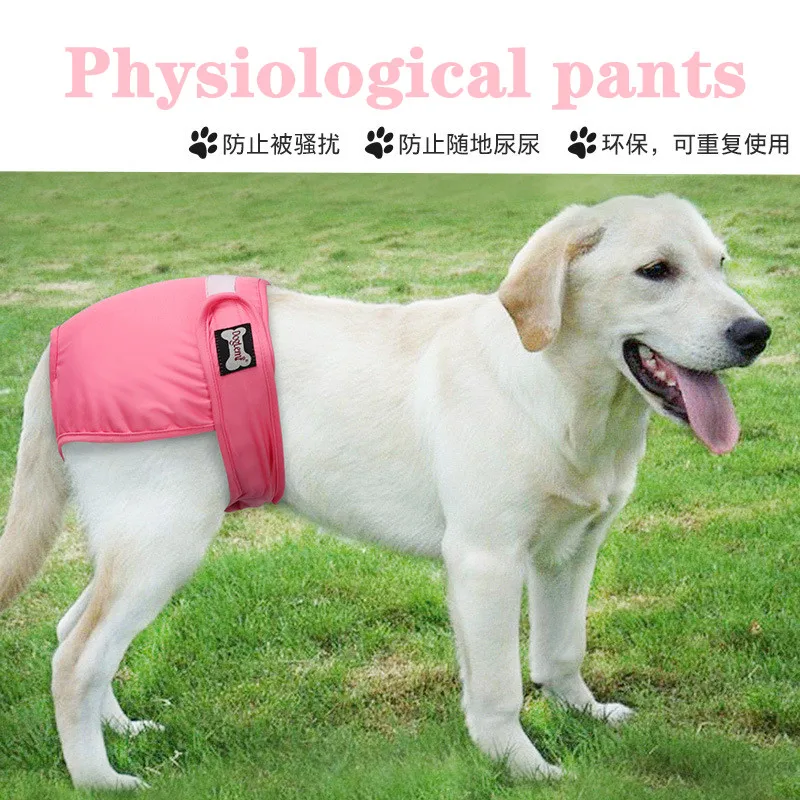 Физиологические штаны Тедди золотистый ретривер менструальные защитные для
