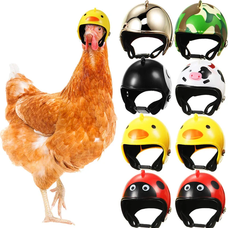 

8 Pcs Chicken Helmet Pet Safety Helmet Funny Parrot Helmet Chicken Bird Hat Headwear Small Pet Hard Hat Pet Helmet Accessories