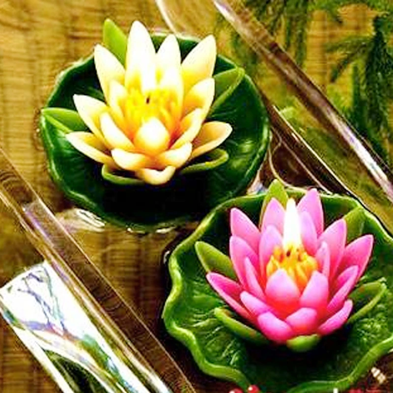 M573 суккуленты 3D соевый воск для свечей пресс-форма мыла силиконовая форма ручная