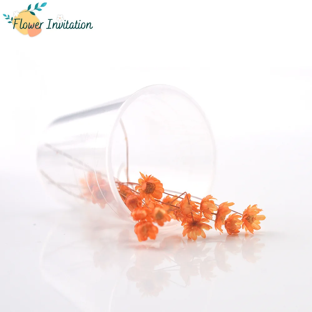 

Натуральные сухие цветы, подвеска из эпоксидной смолы для ароматерапии, украшение «сделай сам», 10 шт./коркорм