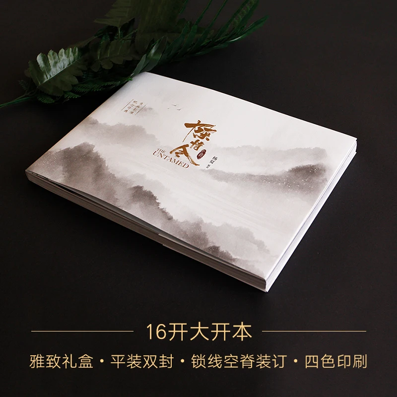 The Untamed Chen Qing Ling оригинальная книга с фотографиями Памятная Коллекция Книга Xiao Zhan