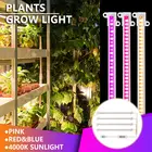 Светодиодная комнатная фитолампа с USB, лампа полного спектра для выращивания растений, саженцев