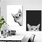 Плакаты в скандинавском стиле с красивыми черными и белыми кошками, Картина на холсте и принты, настенные модульные картины для гостиной, домашний декор