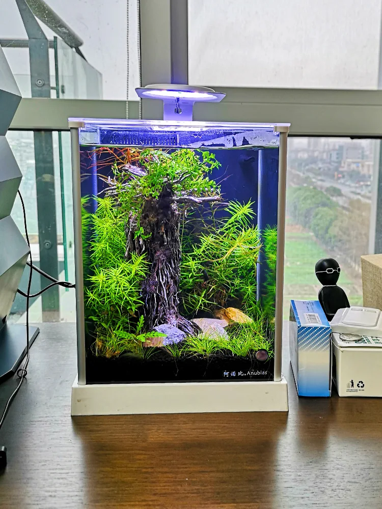 

zq Ecological Fish Tank Landscape Mute Back Filter Table Top Glass Aquarium