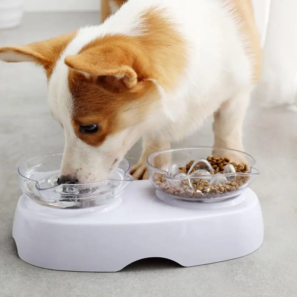 Водонепроницаемая прозрачная миска для кошек двойного назначения контроля