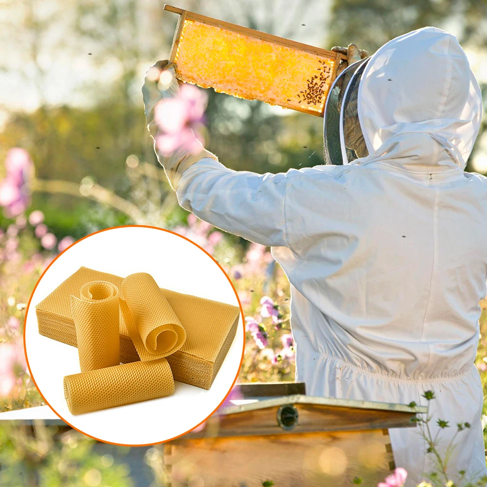 

30pcs Beeswax Honeycomb Sheets Wax Foundation Beekeeping Sheet Bee Nest Foundation Wax Sheet Beehive Bed Hive Honey+Nest+Base