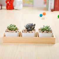 multi grid wooden flower pot bonsai planter box desktop storage holder organizer