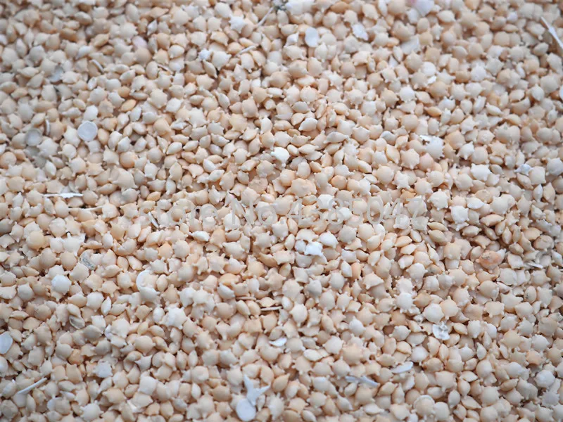 1 коробка с разным весом Пляжная натуральная морская звезда песок для