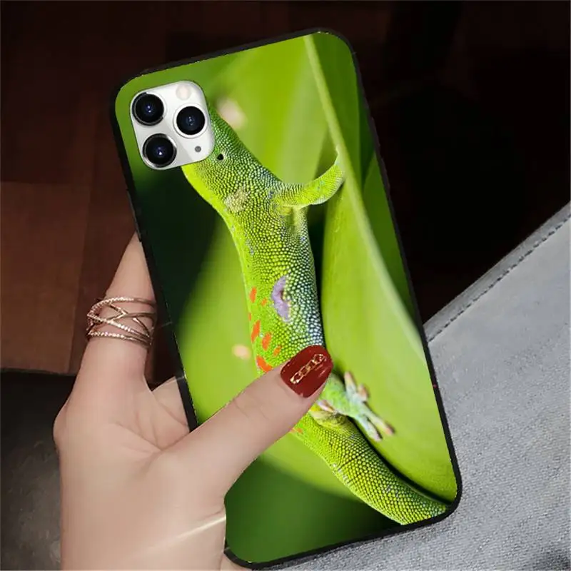 

Gecko Lizard Animals luxury brand shell Phone Case cover for iPhone 11 12 pro XS MAX 8 7 6 6S Plus X 5S SE 2020 XR