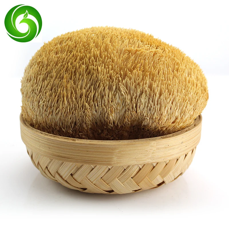 

Hericium Dry Goods, Hand-selected Large Hericium Mushrooms, Gutian