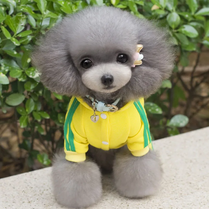 XS XXL Pet Одежда с принтом в виде собак для Костюм кошкой Пижама утолщенные Кофты