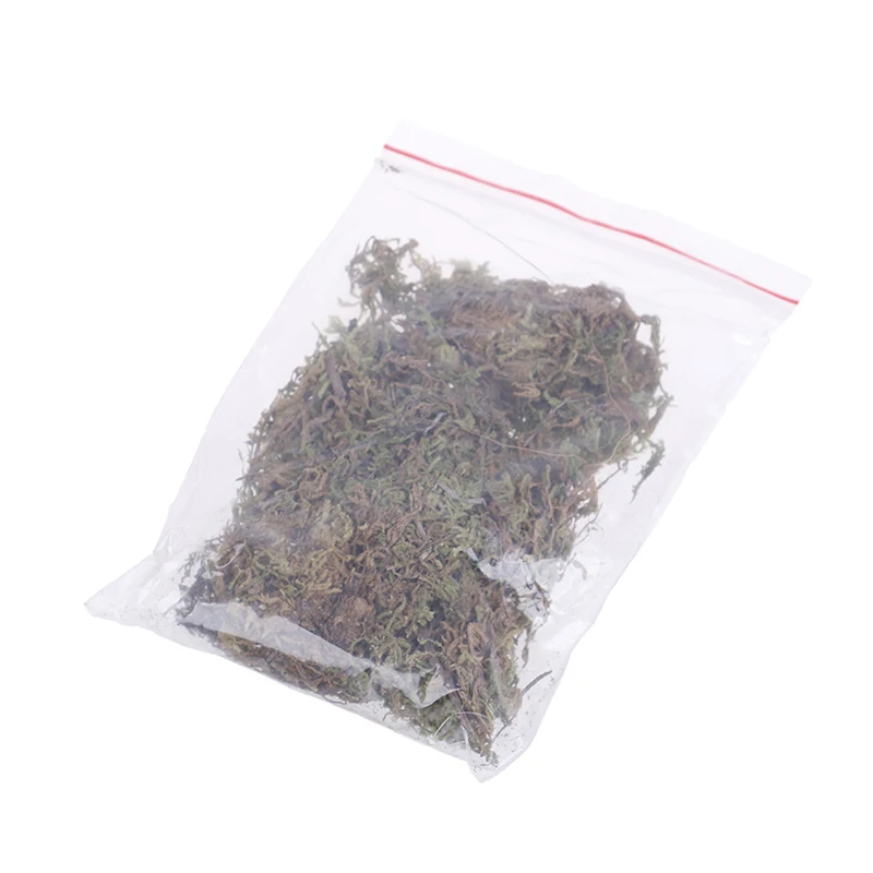 10 г сухой мох Садовые принадлежности увлажняющее питание органическое удобрение