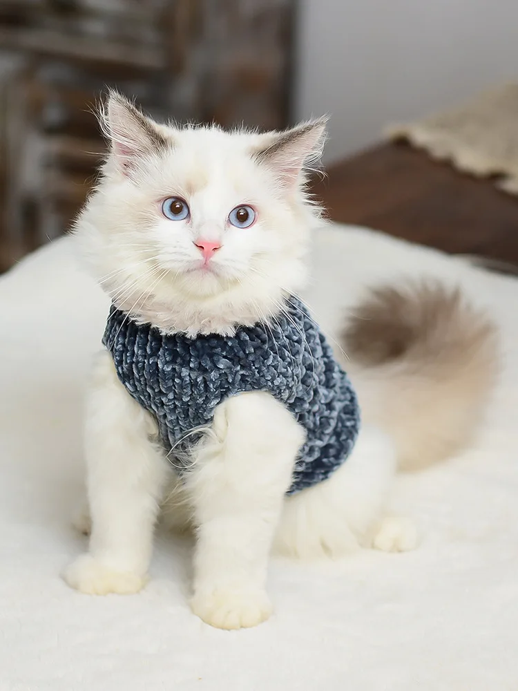 

Cat Clothes Winter Warm Handmade Soft Cats Knitted Sweater Outfit Sphynx Cat Hoodies Pullover Sphinx Kitten Clothes Cat Supplies