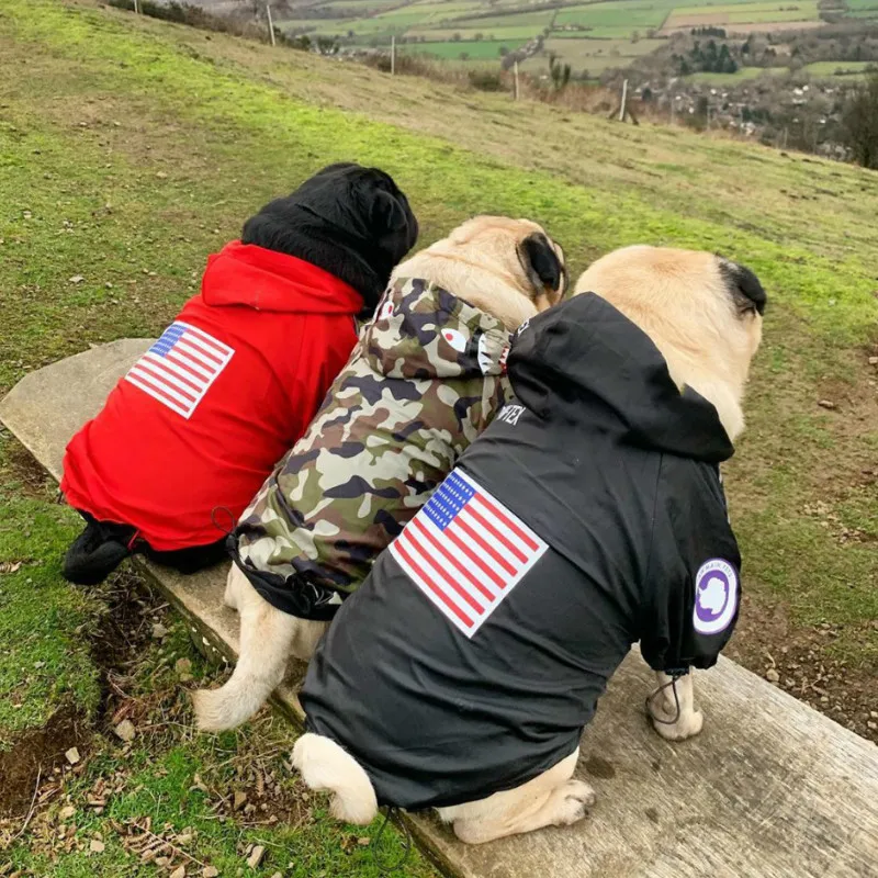 Одежда для питомцев осень зима полиэстер плотное теплое пальто маленькая собака