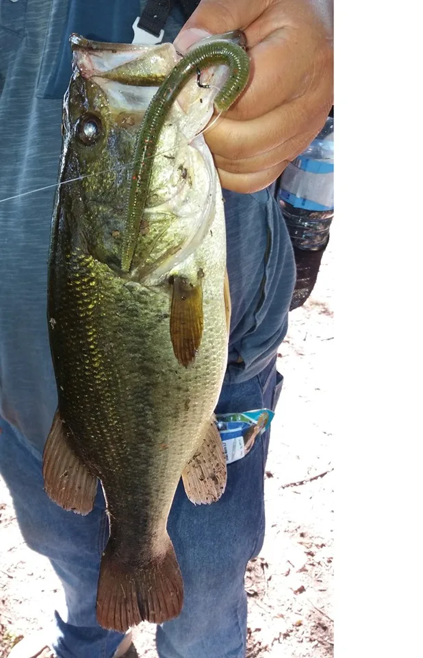 Esfishing рыболовные червные приманки 135 мм 10 шт. Senko червь рыболовные приманки мягкие приманки Leurre soule Карп Рыбалка Iscas искусственное