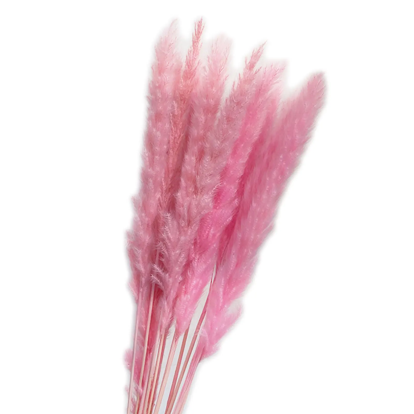 

2021 New Home Decoration Artificial Flower Plant Home Decoration 15PCS Natural Dry Reed Grass DIY Home Wedding Decoration