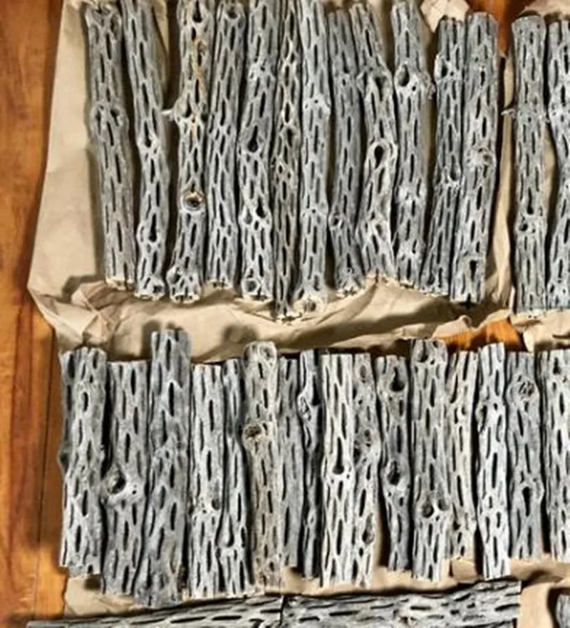 Органический аквариум Холла кактус древесина креветки Гнездо Дом озеленение | и