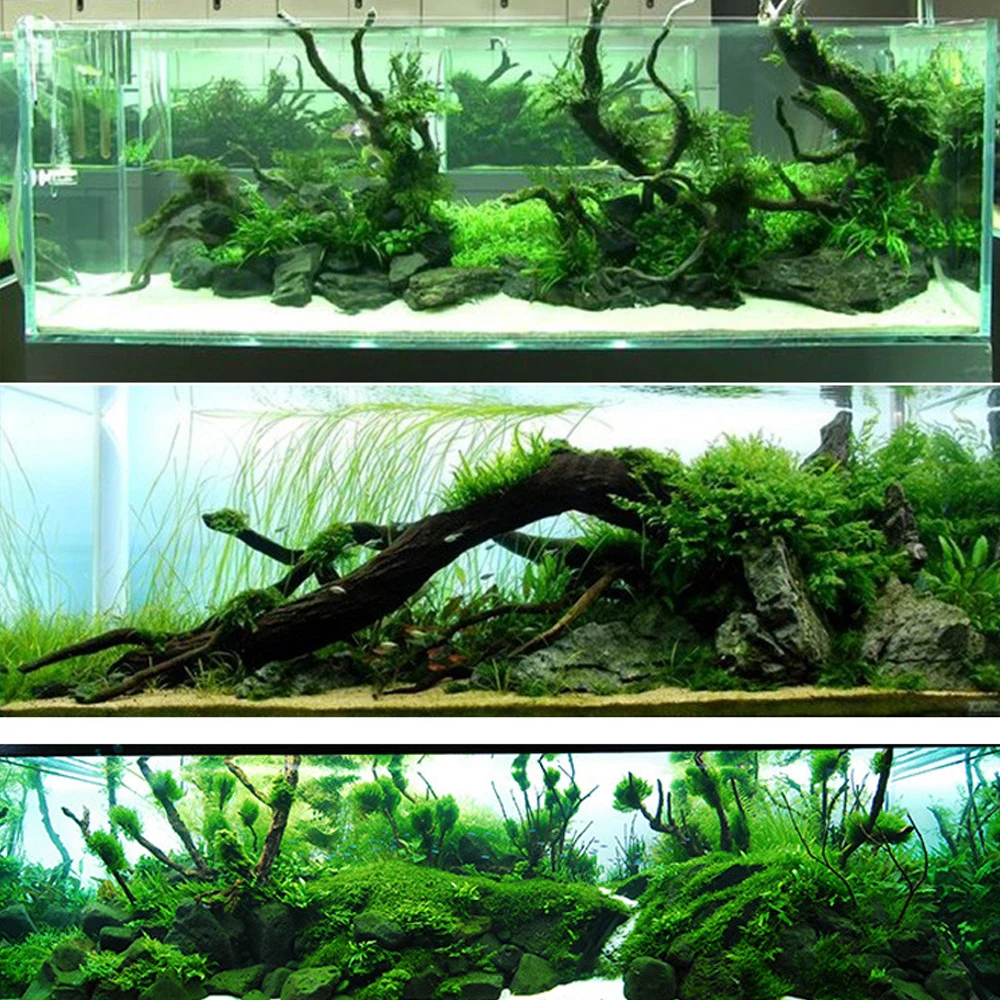 Аквариумные растения клей мох для воды аквариум рыб коралловые рифы украшения