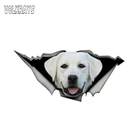 Наклейка Volkrays на автомобиль, белая, лабрадор, водостойкая, 13 х6 см