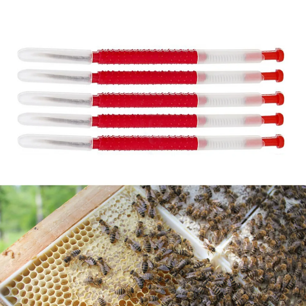 10 шт. пчеловодов двигаться черви иглы прививки пчела оборудования инструменты