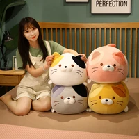 355060cm cute fat cat plush toys stuffed soft animal dumplings cat pillow sofa cushion for girls baby doll birthday gifts