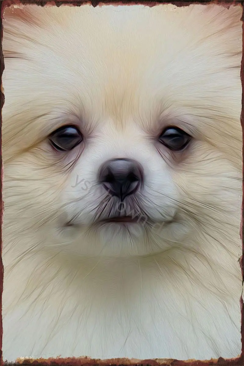 

Pomeranian Room Decoration Retro Vintage Metal Sign Tin Sign Tin Plates Wall Decor For Art Pub Home Club Man Cave Cafe