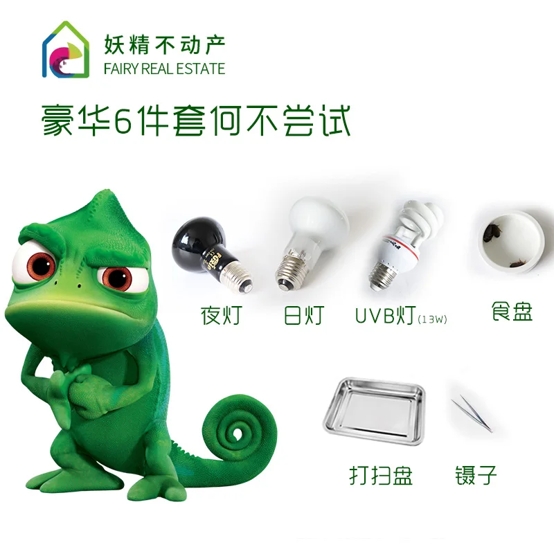 Ползающая Животное Черепаха обесцвечивание Дракон Ежик контроль температуры