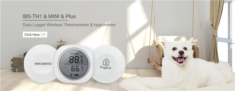 with APP for Android and iOS Temperature Sensor IBS-TH2 Home Temperature Monitor Wireless Bluetooth Temperature Sensor Inkbird Smart Thermometer 