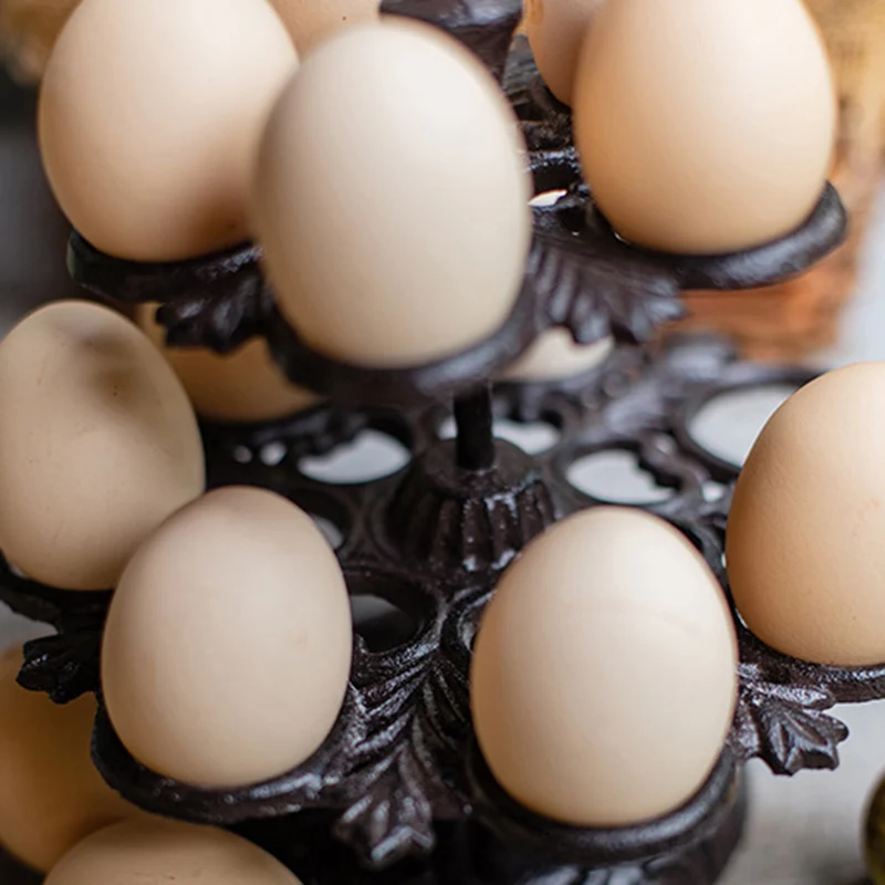

Heavy Duty Retro Cast Iron Eggs Holder Countertop Decor Kitchen & Dining Room Organization Egg Stroage Display Rack Home Garden