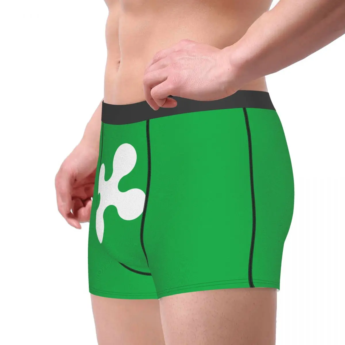 Flag Of Lombardy Men's Boxer Briefs regions of Italy Funny Novelty elastic pants for men