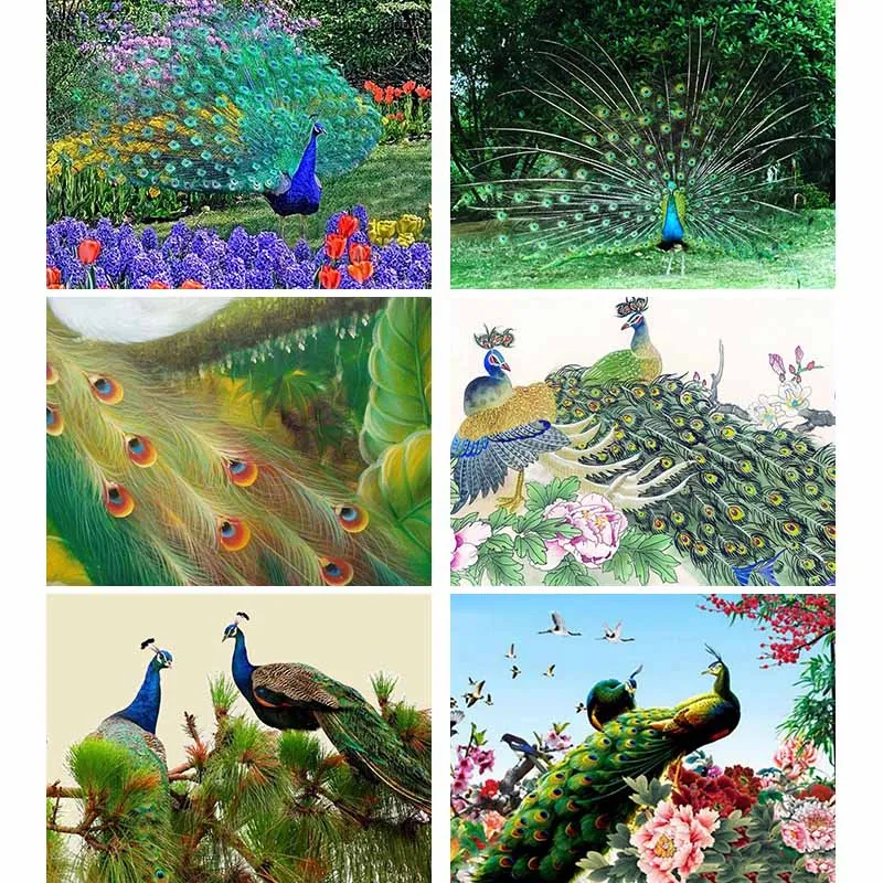 

Full 5D DIY Diamond Painting Garden Peacock Diamond Adornment Flower Cross Stitch Rhinestones Square Or Round Animal Decor O15